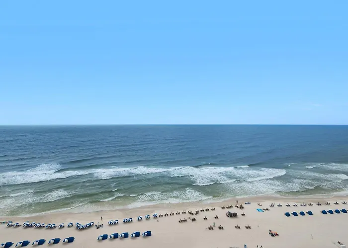Paradise On Earth Pensacola